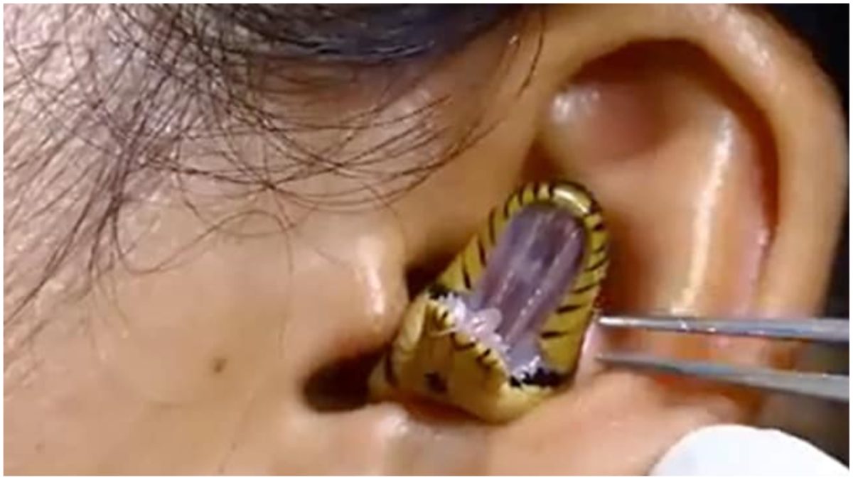 रात के अँधेरे में