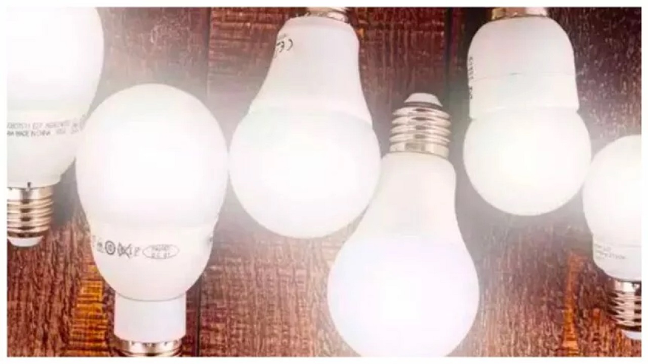 Inverter LED Bulb: बिजली
