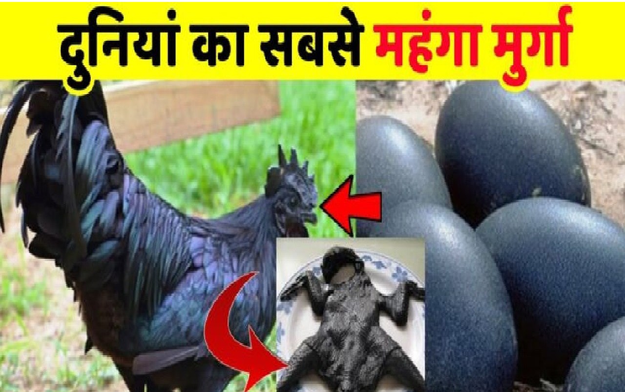 बेरोजगार लोगों का सबसे