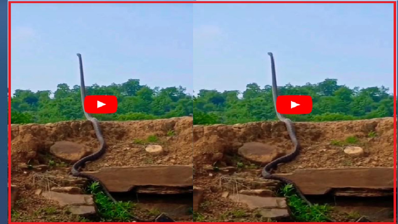 मिट्टी के टीले पर