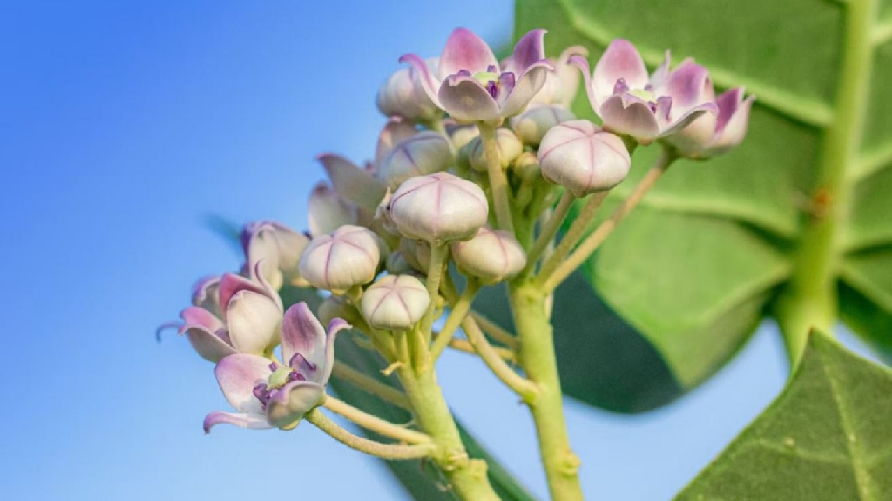 Blood Sugar Control Tips: