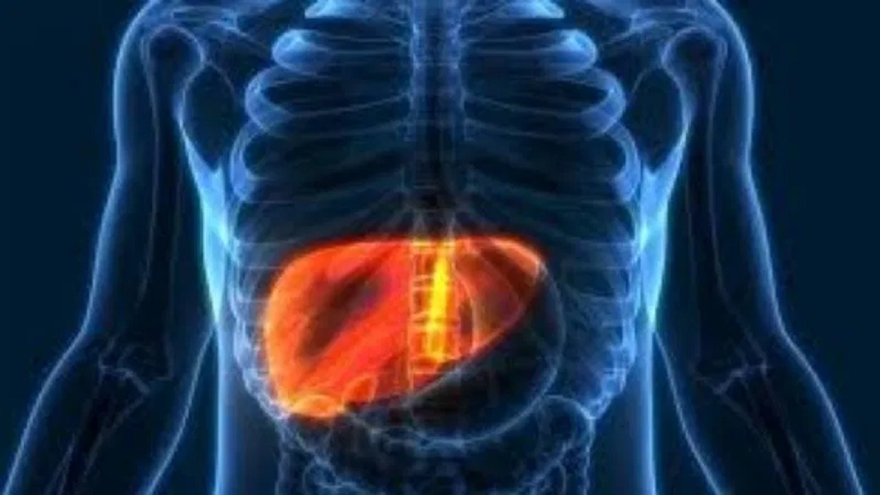 लिवर के लिए शराब