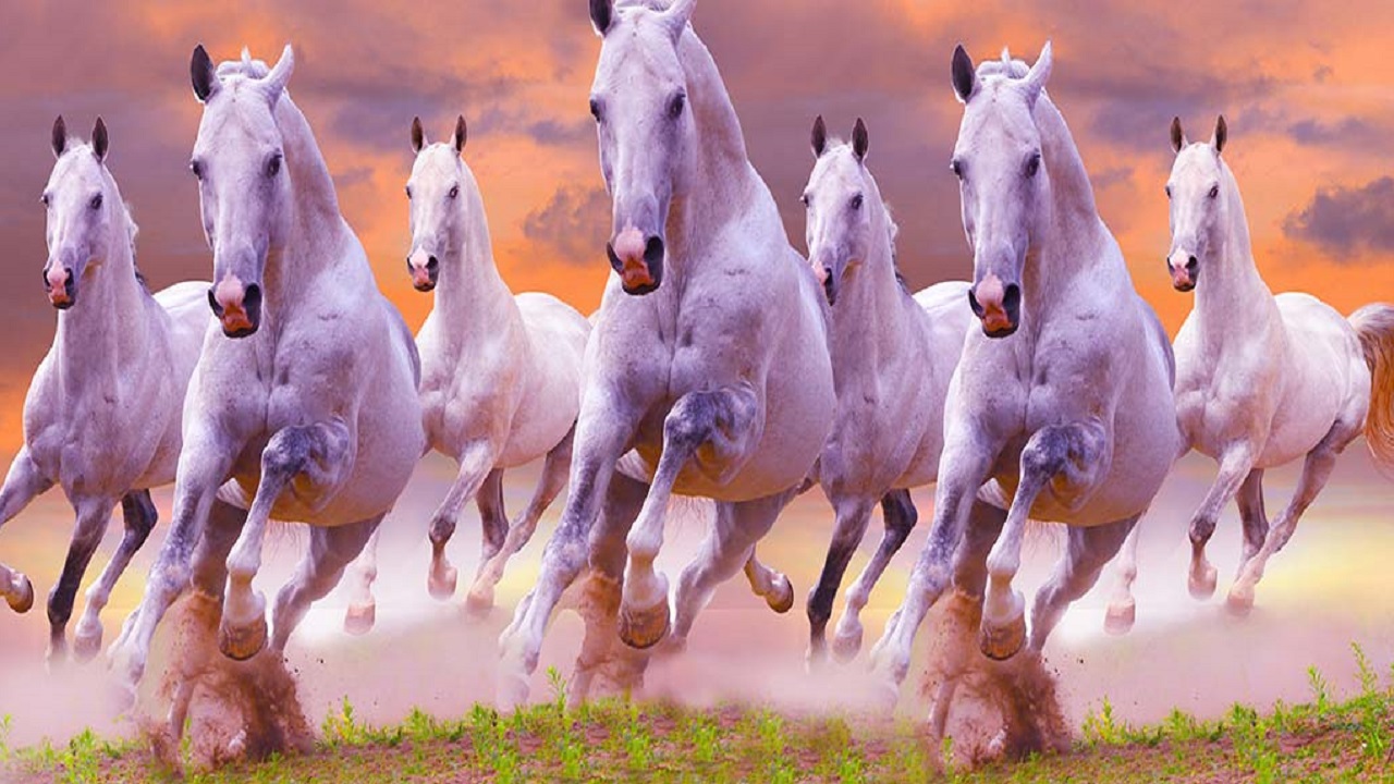 Vastu Tips: घर और