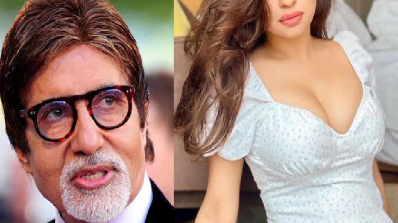 अमिताभ बच्चन की भतीजी