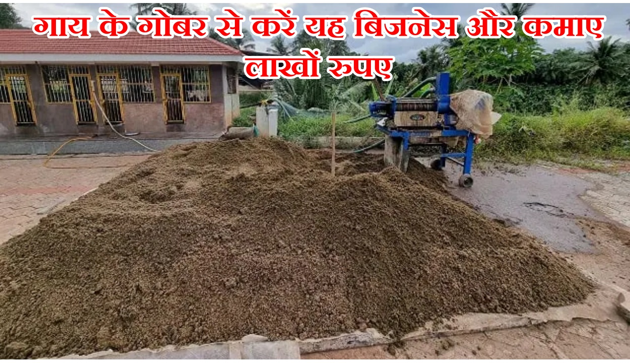 Cow Dung Business Tips: