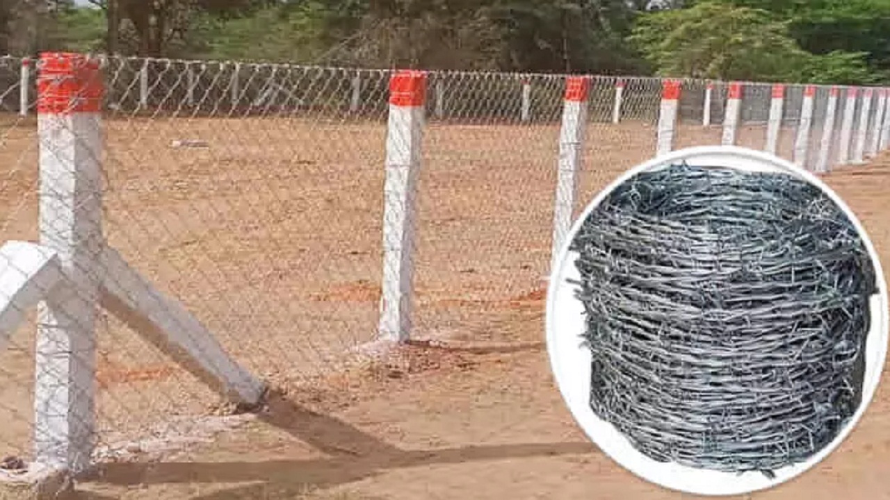 सरकारी योजना : अब