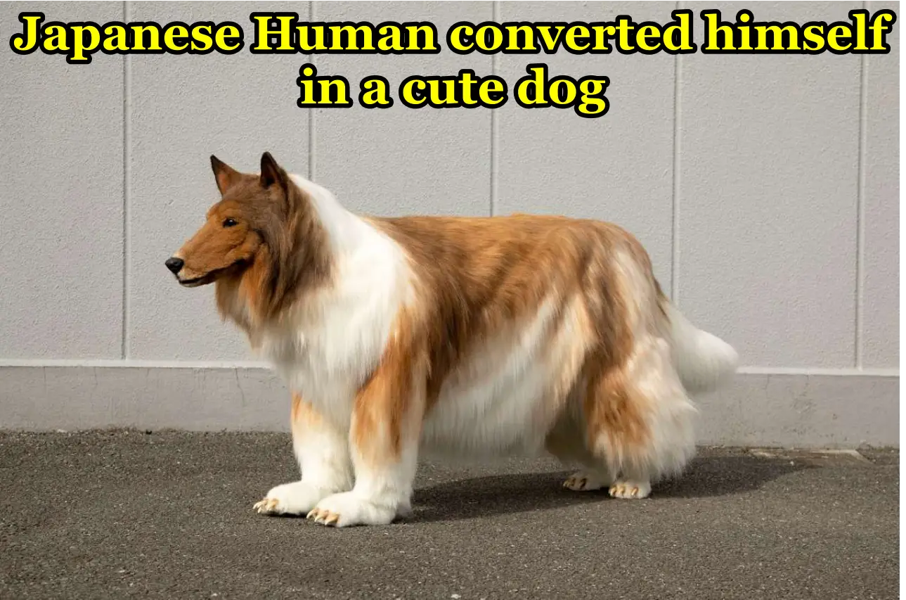 $14000 खर्च करके खुद