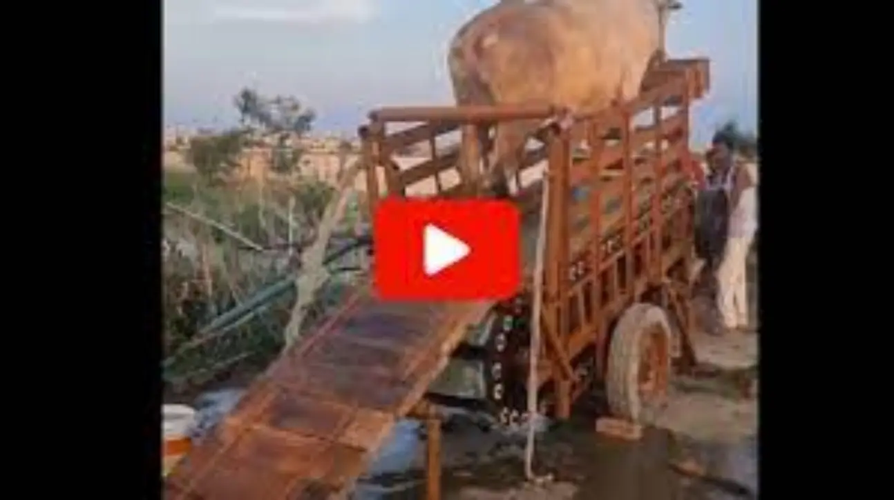 कुएं से पानी निकालने