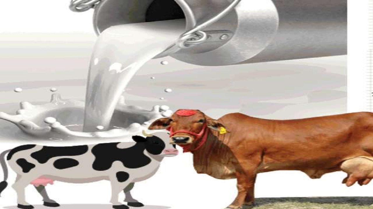 डेयरी बिजनेस से करें