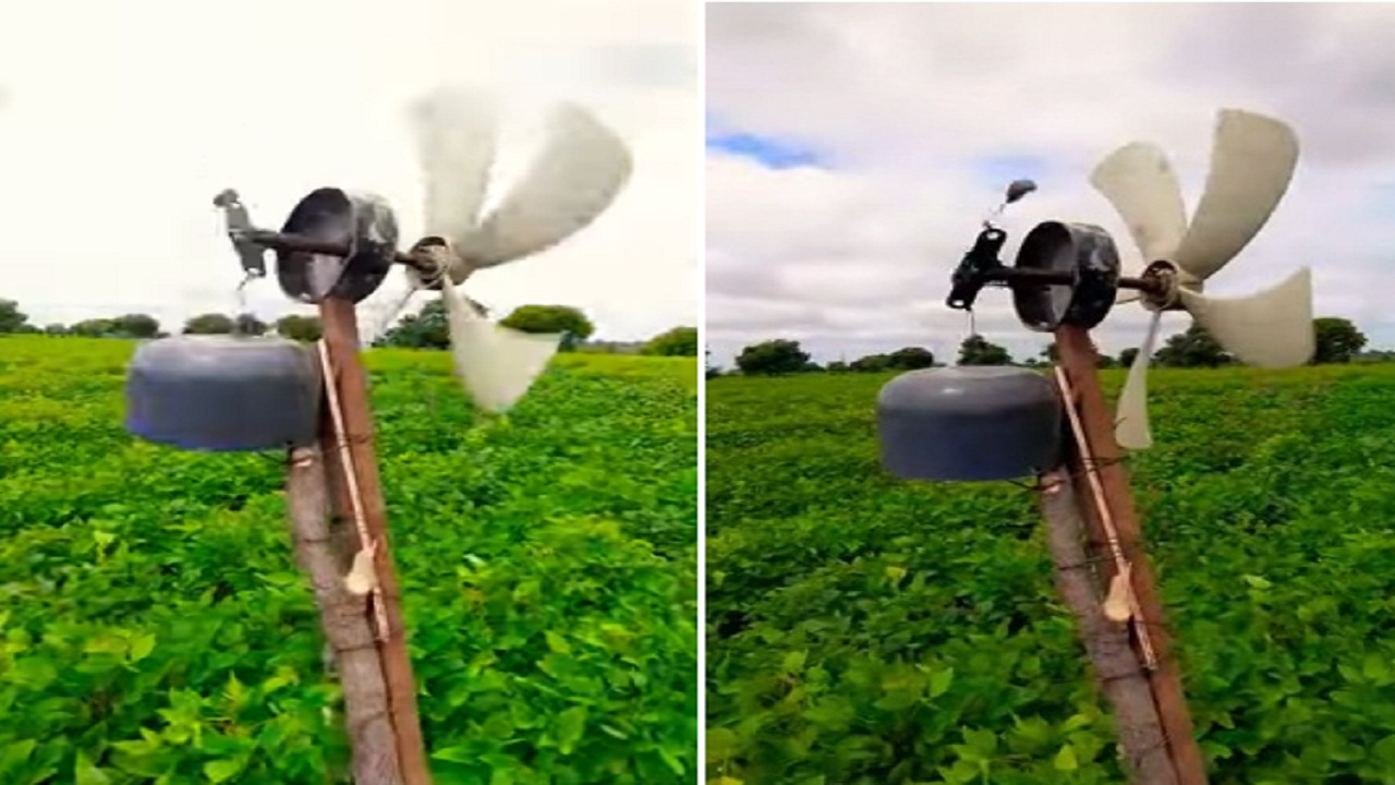 किसान ने फसल बचाने