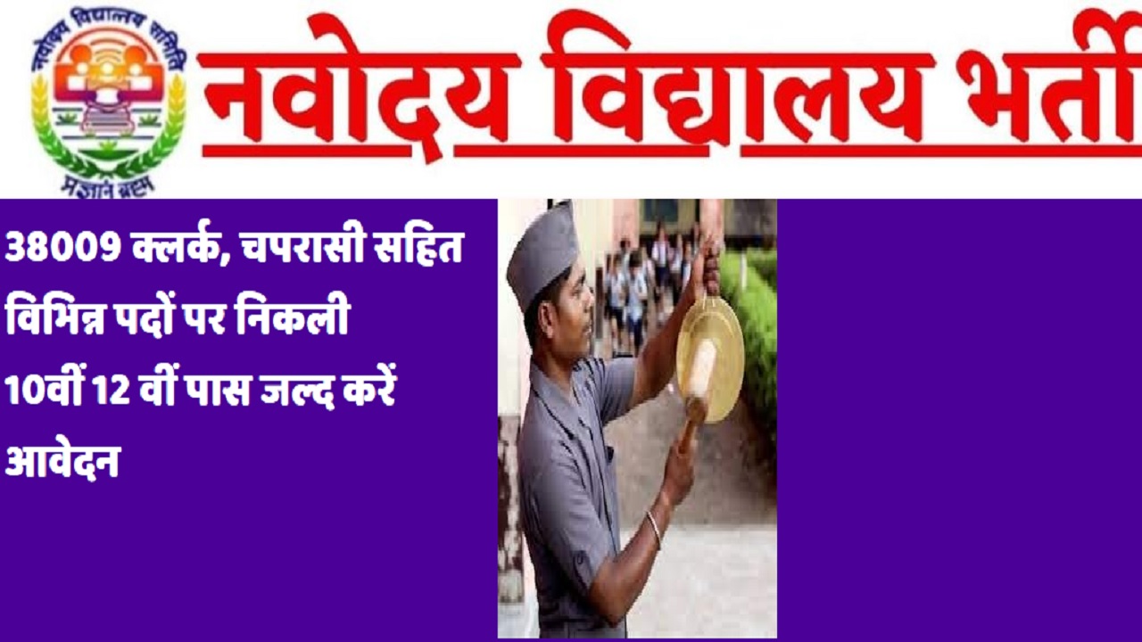NAVODAYA VIDYALAYA BHARTI: क्लर्क