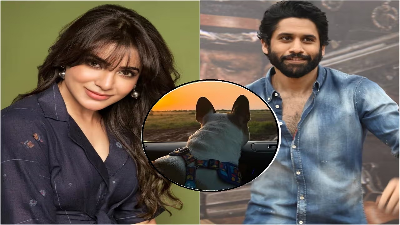 Samantha Ruth Prabhu और