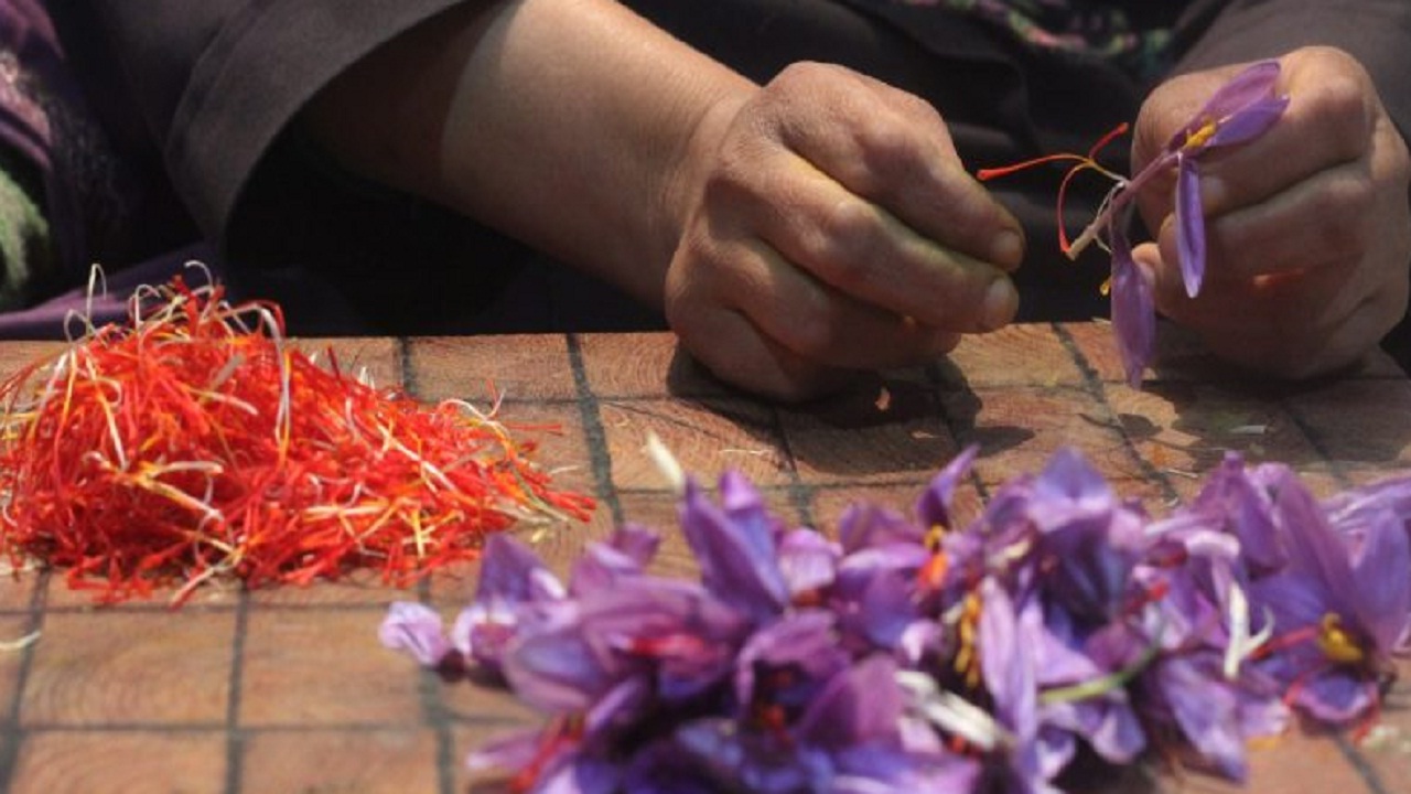 अब घर में उगा