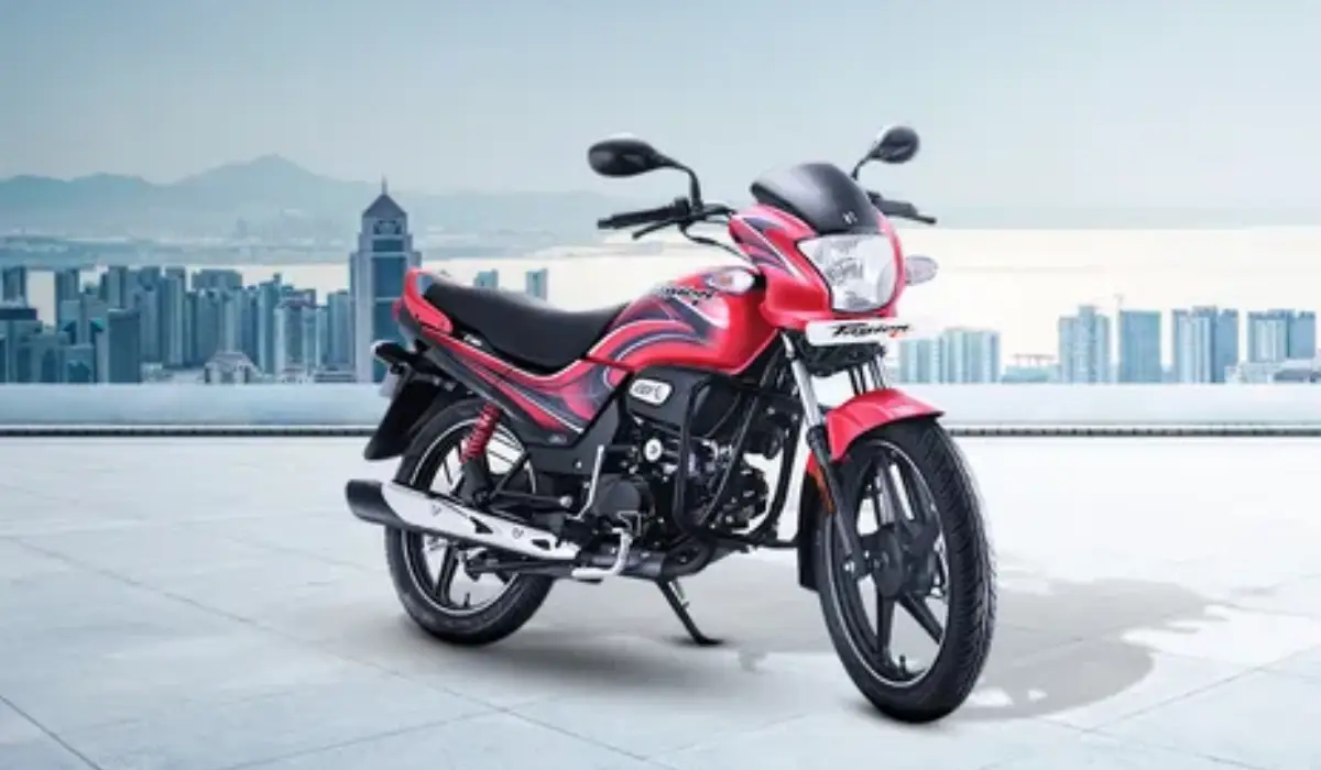 Hero Passion का लुक