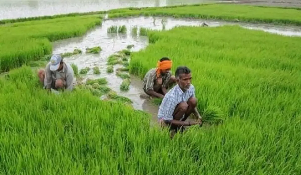 सरकार इन लोगों से