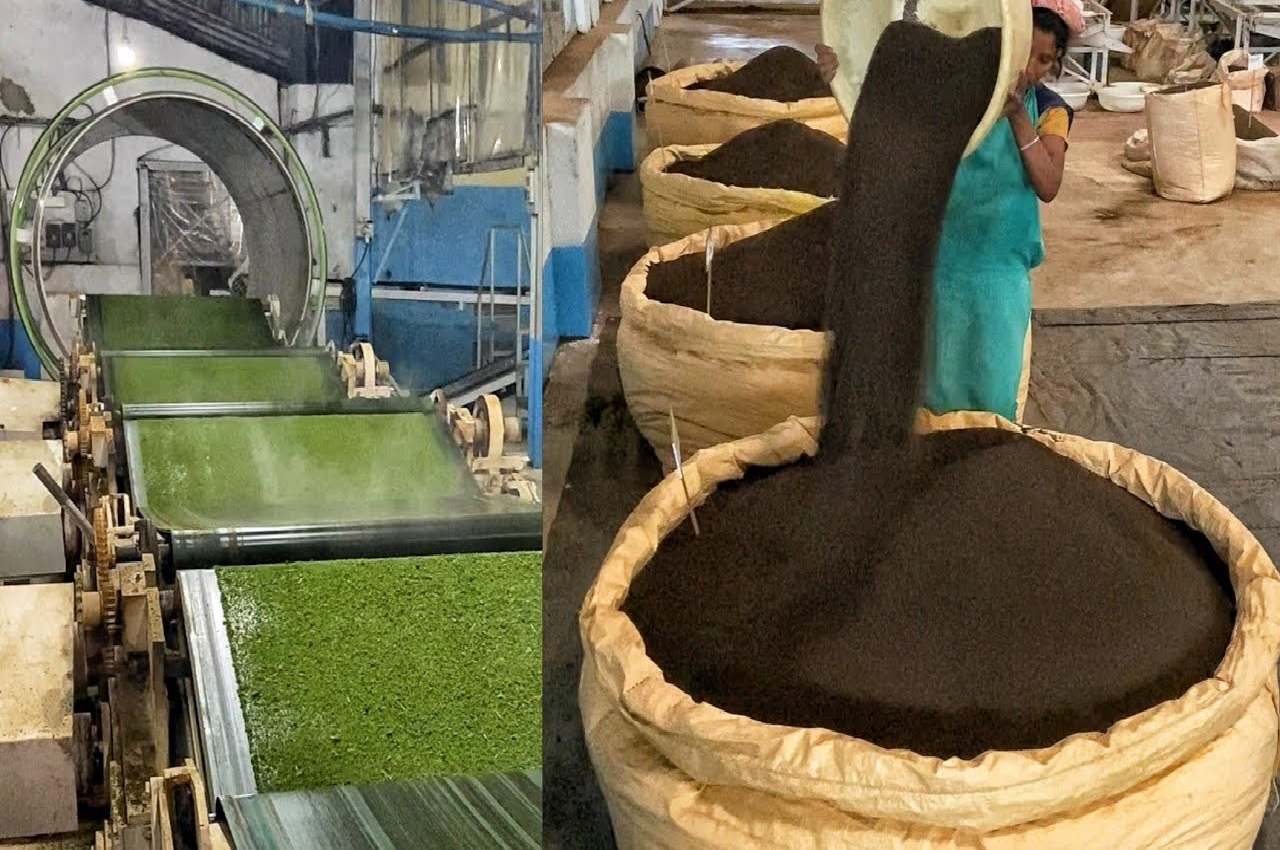 जानें कैसे बनती है