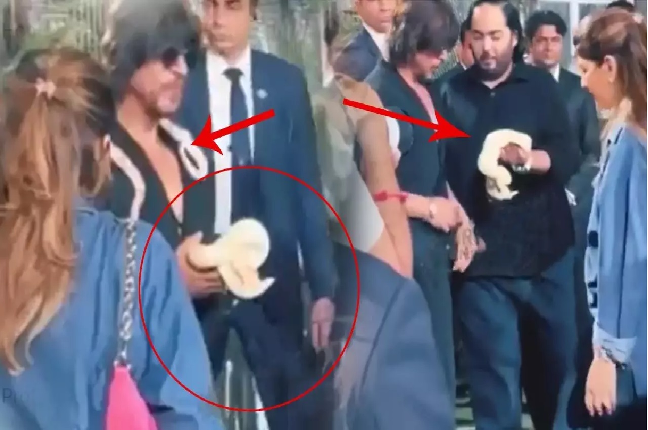 पार्टी में शाह रुख