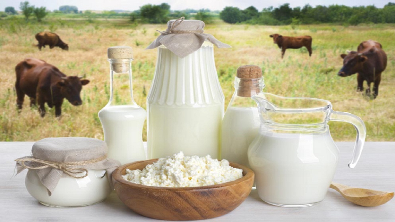 आज ही अपना लें