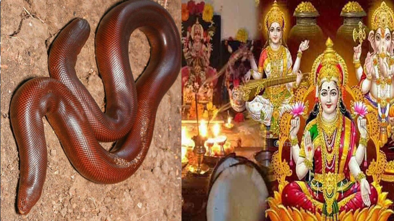 हो जाएगी बल्ले बल्ले,