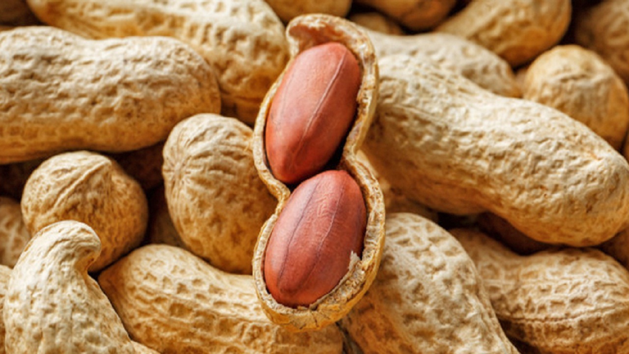 ऐसे लोग भूलकर भी