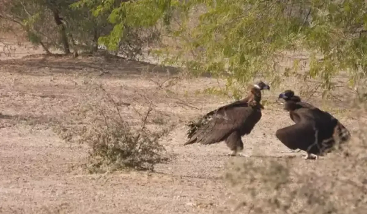 सालों बाद दिल्ली के