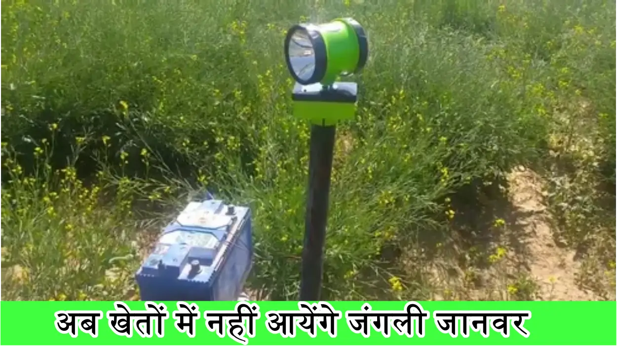 Farming Tips: खेत में