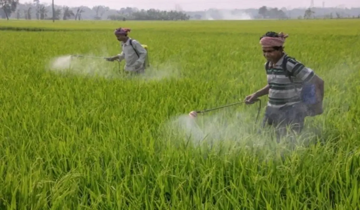 फसल को नष्ट नहीं