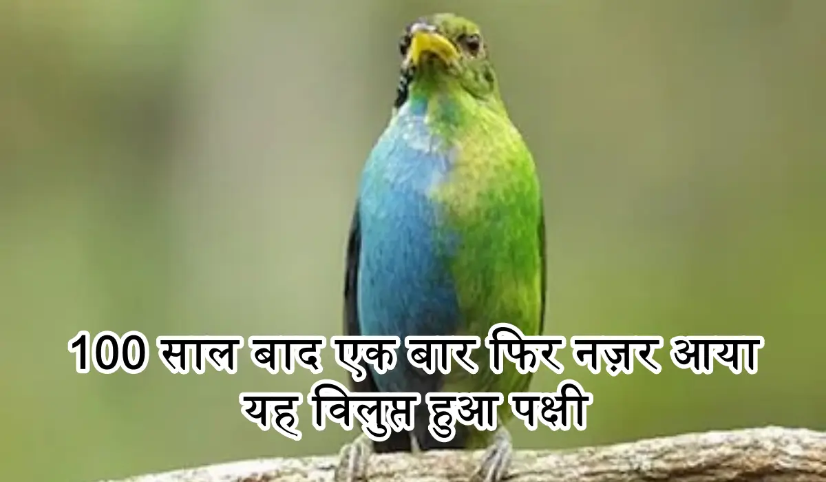 आधा नर और आधा