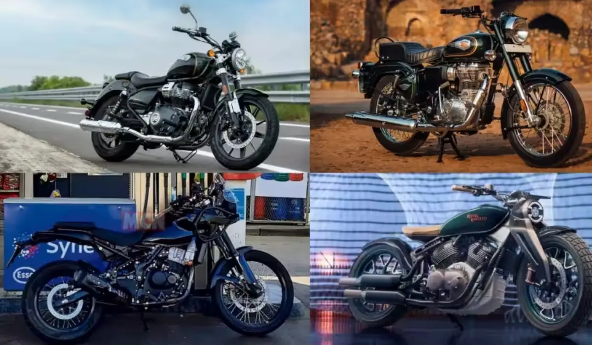 नए साल पर रॉयल