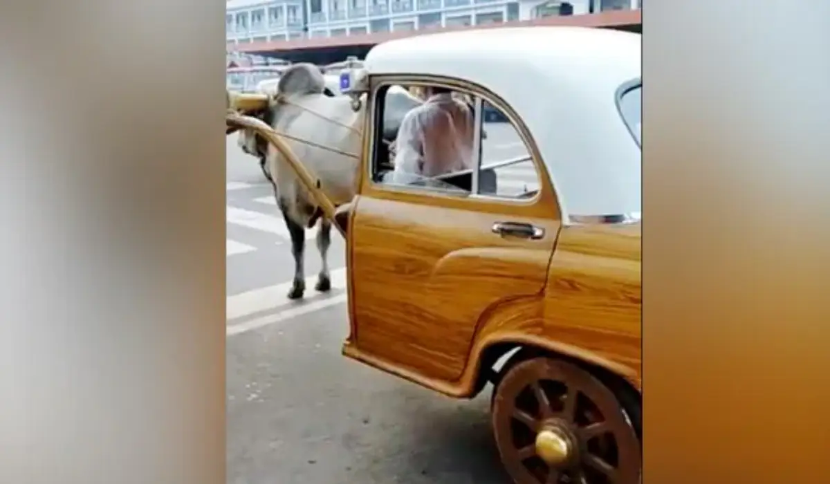 बैल गाड़ी बन गई