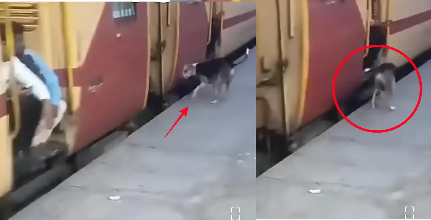 ट्रेन के दरवाजे पर