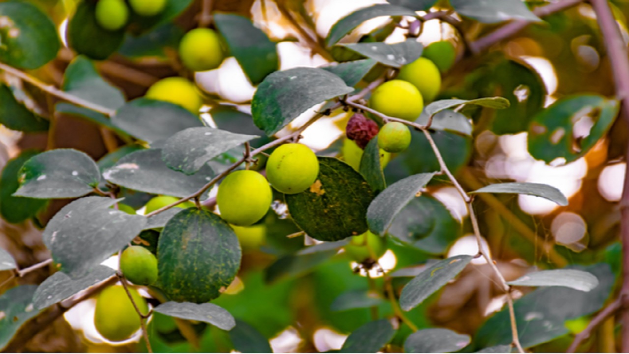 बढ़ते वजन के तेजी