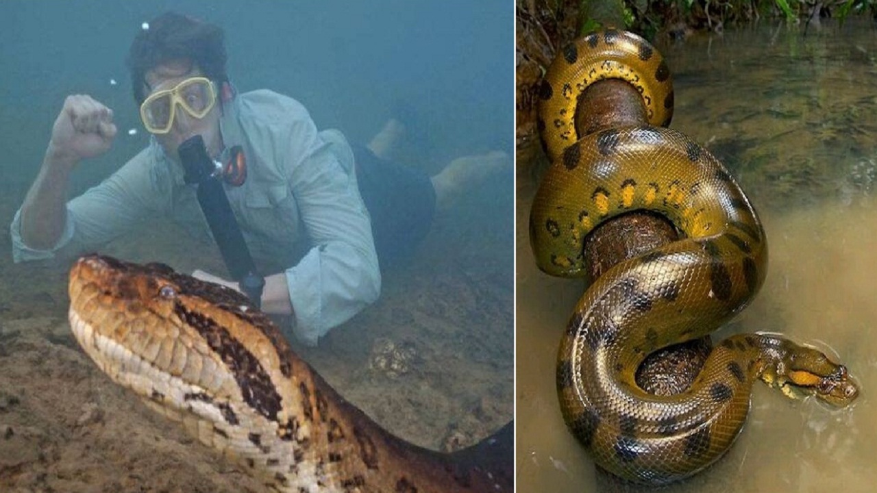 यह है दुनिया का