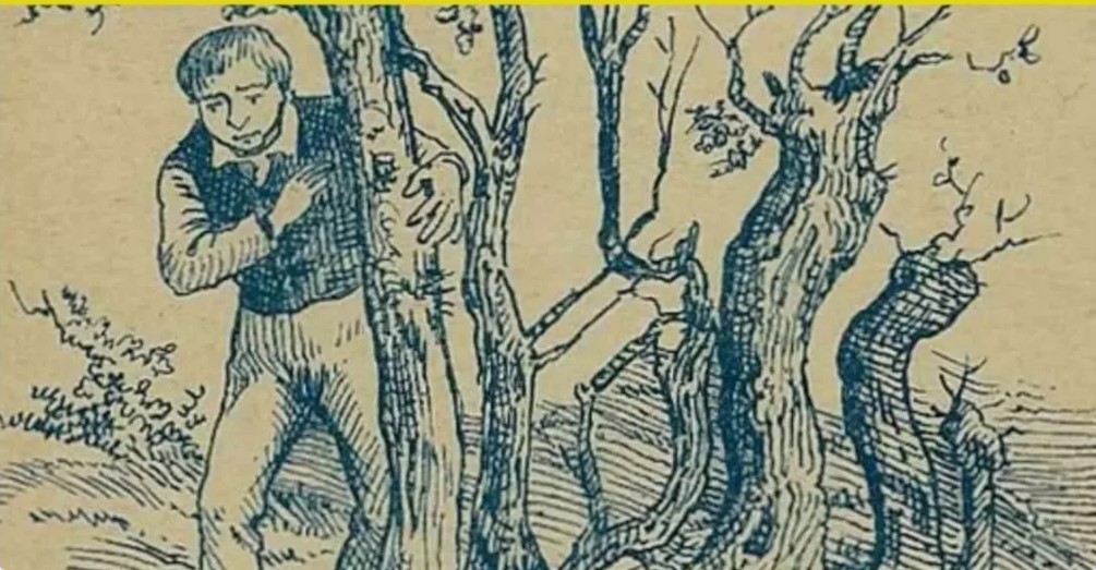 यदि आपकी आंखें बाज