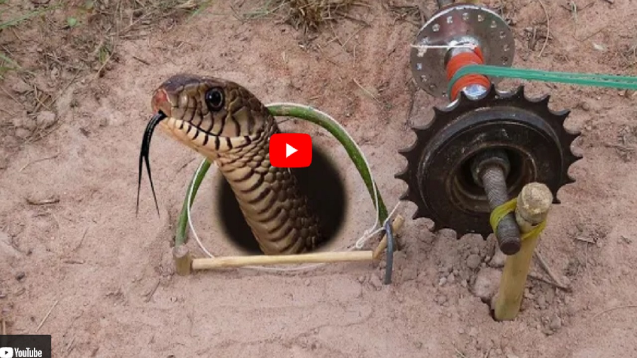 देसी जुगाड़ से पकड़