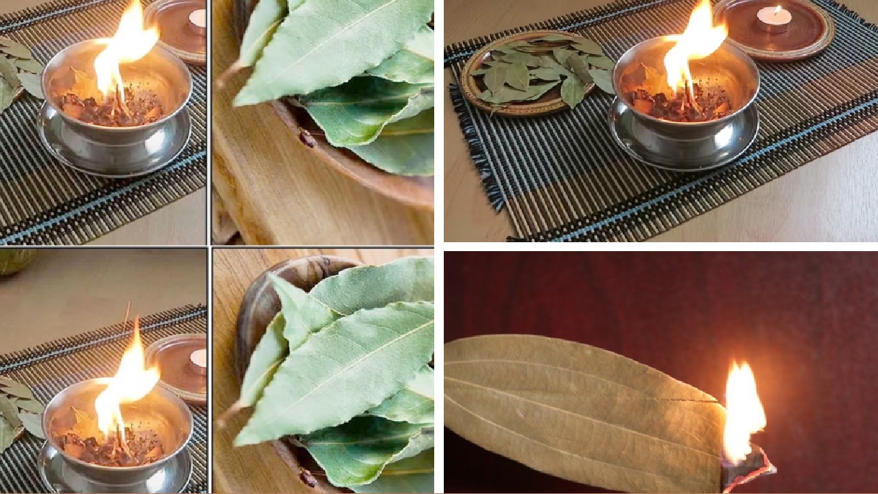 ये 1 तेज पत्ता