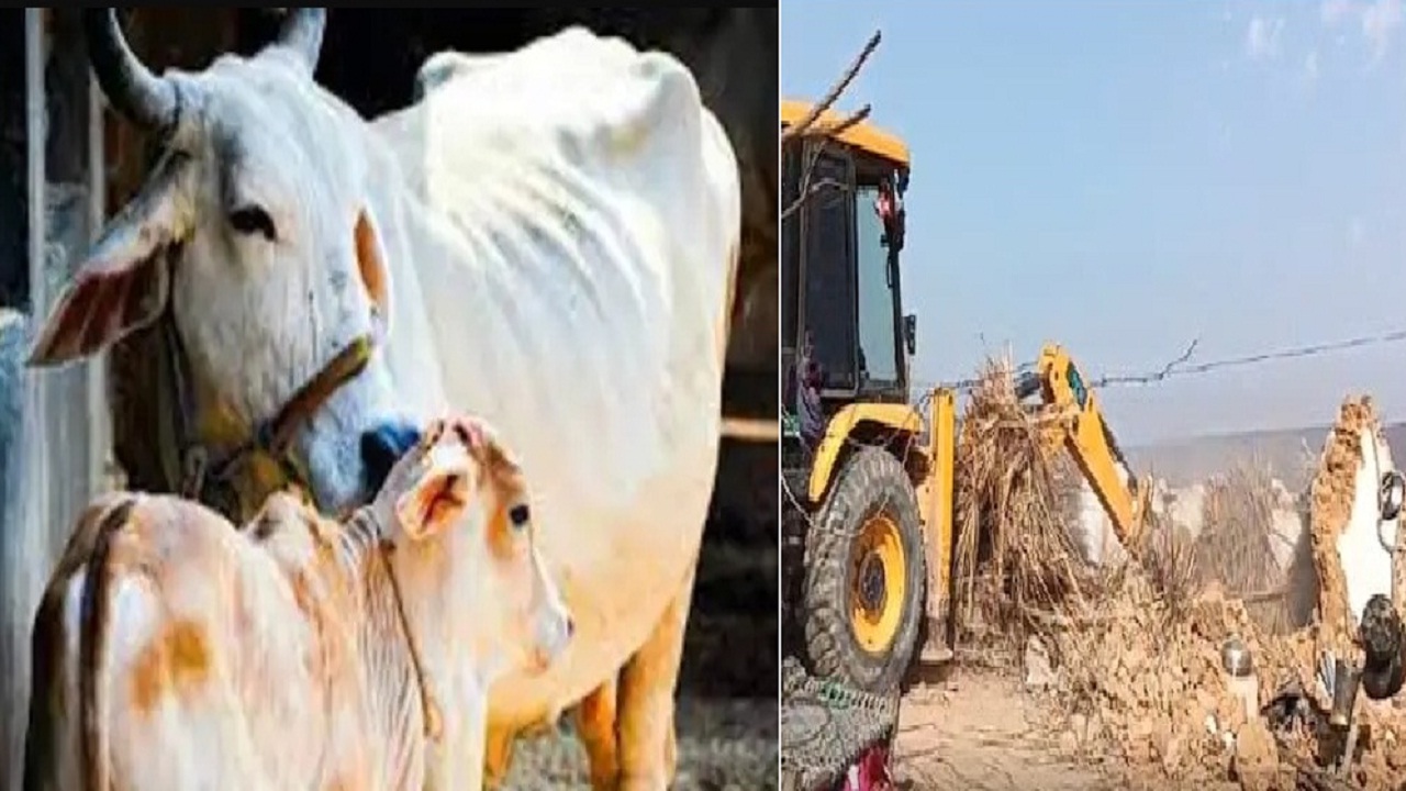 गोकशी मामला: बुलडोजर एक्शन