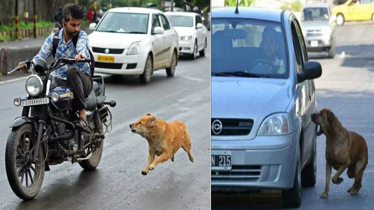 अचानक चलती गाडी के