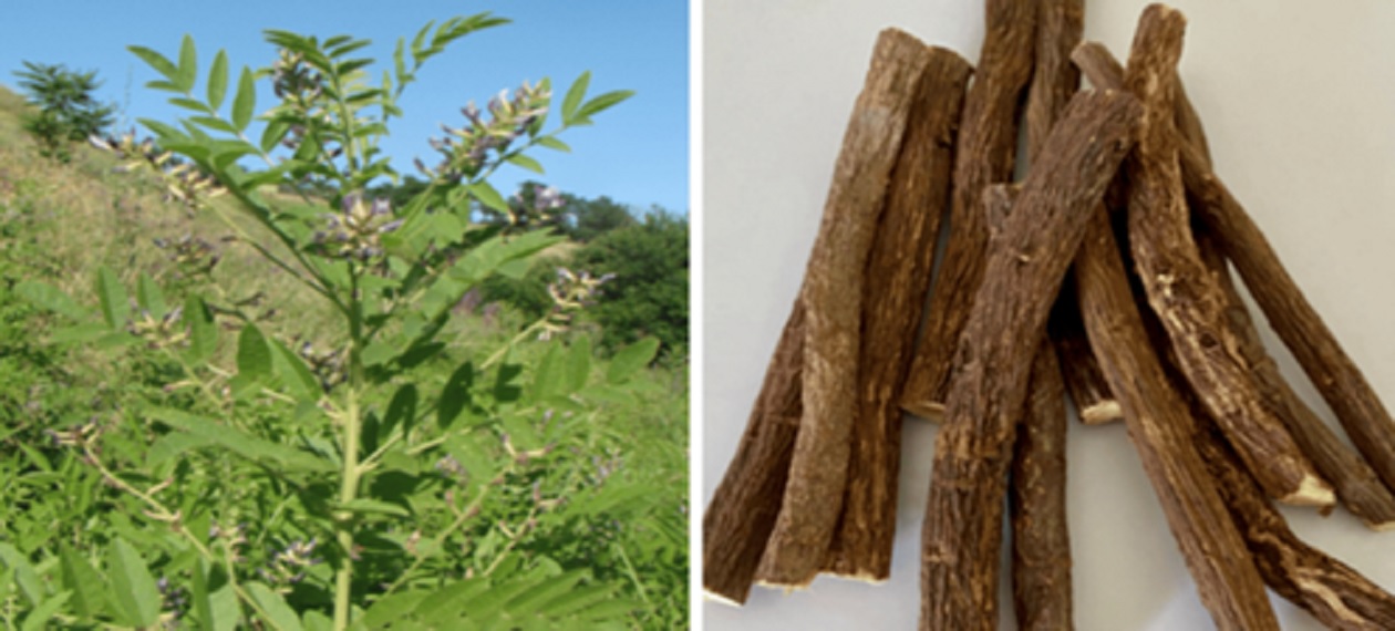 बदलते मौसम में सर्दी-जुकाम,