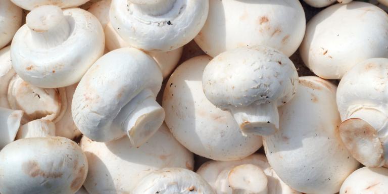 दिमाग लगाकर खोलना है