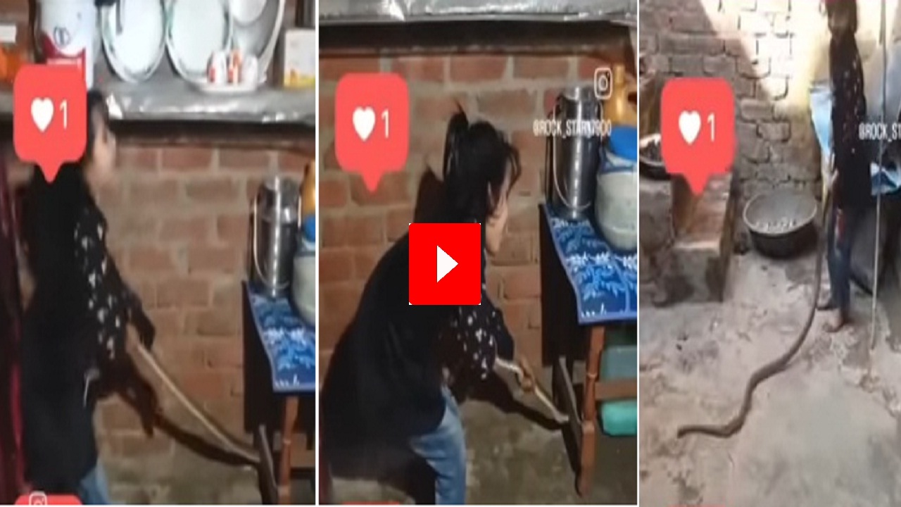 छोटी बच्ची ने सांप