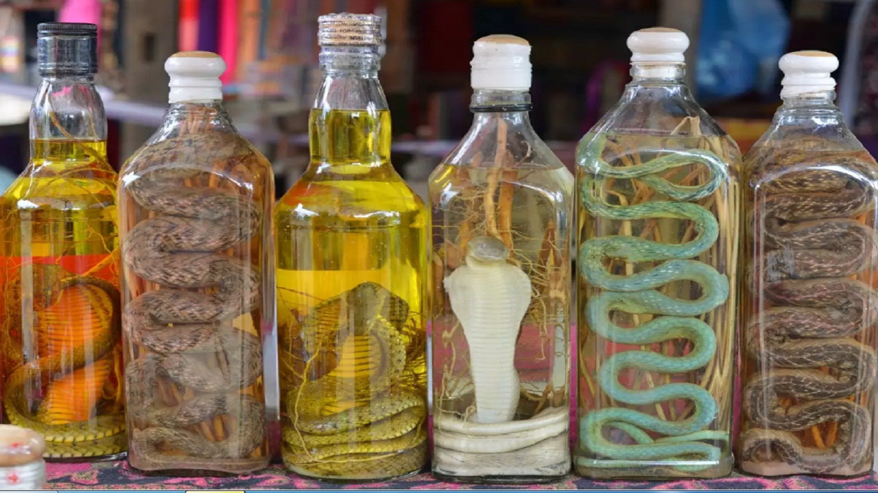 नॉर्मल वाइन के स्थान