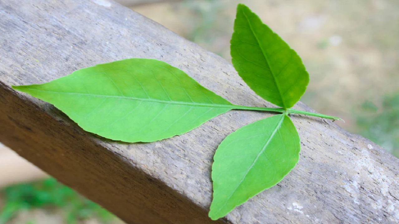 सुबह खाली पेट खा