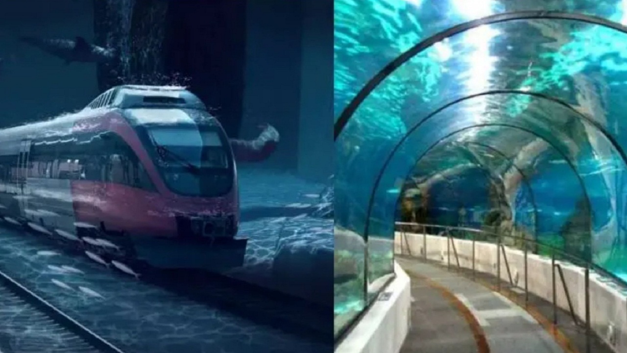 भारत की पहली जल