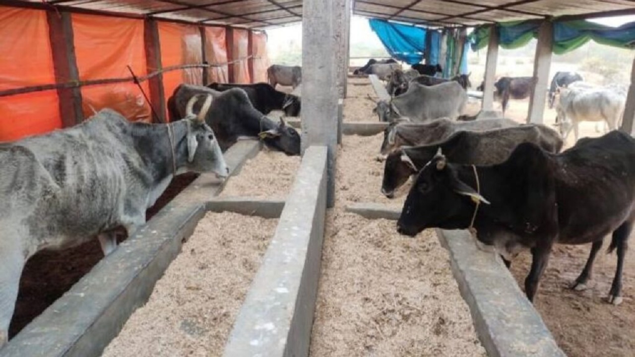 MNREGA Pashu Shed 2024: