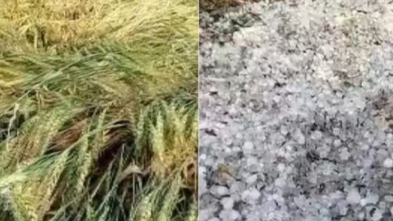 प्रदेश के इन जगहों