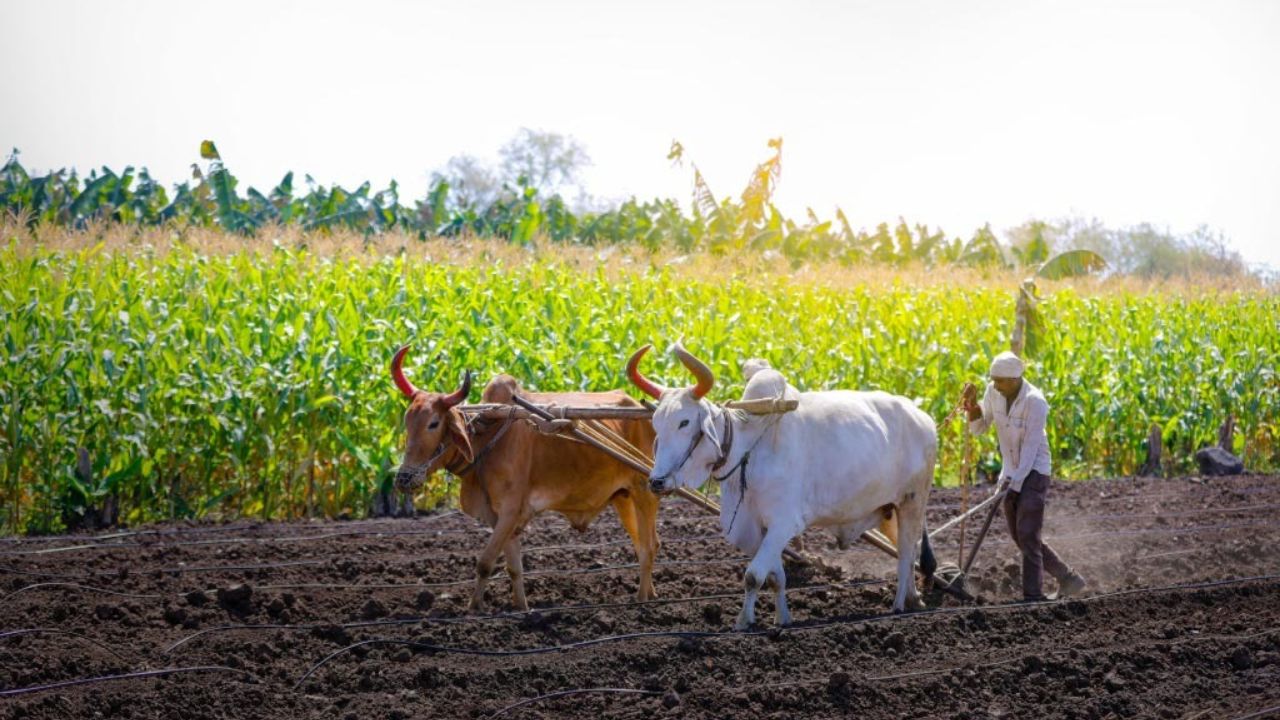 इस फरवरी माह में