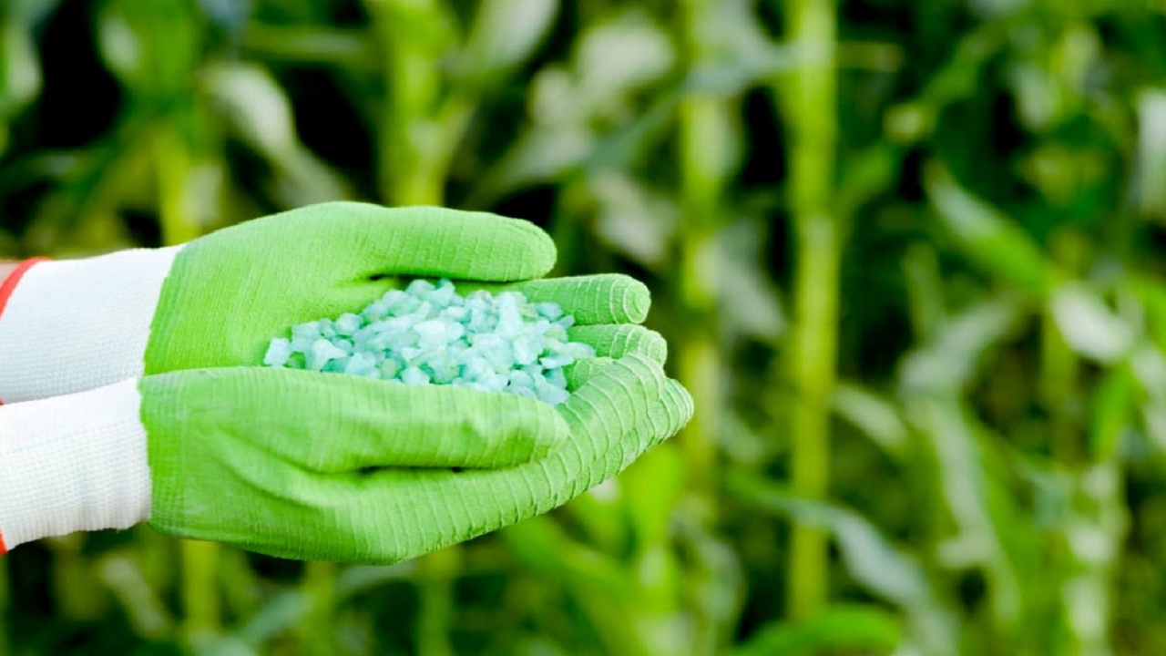 सरकार ने बढ़ाई खाद