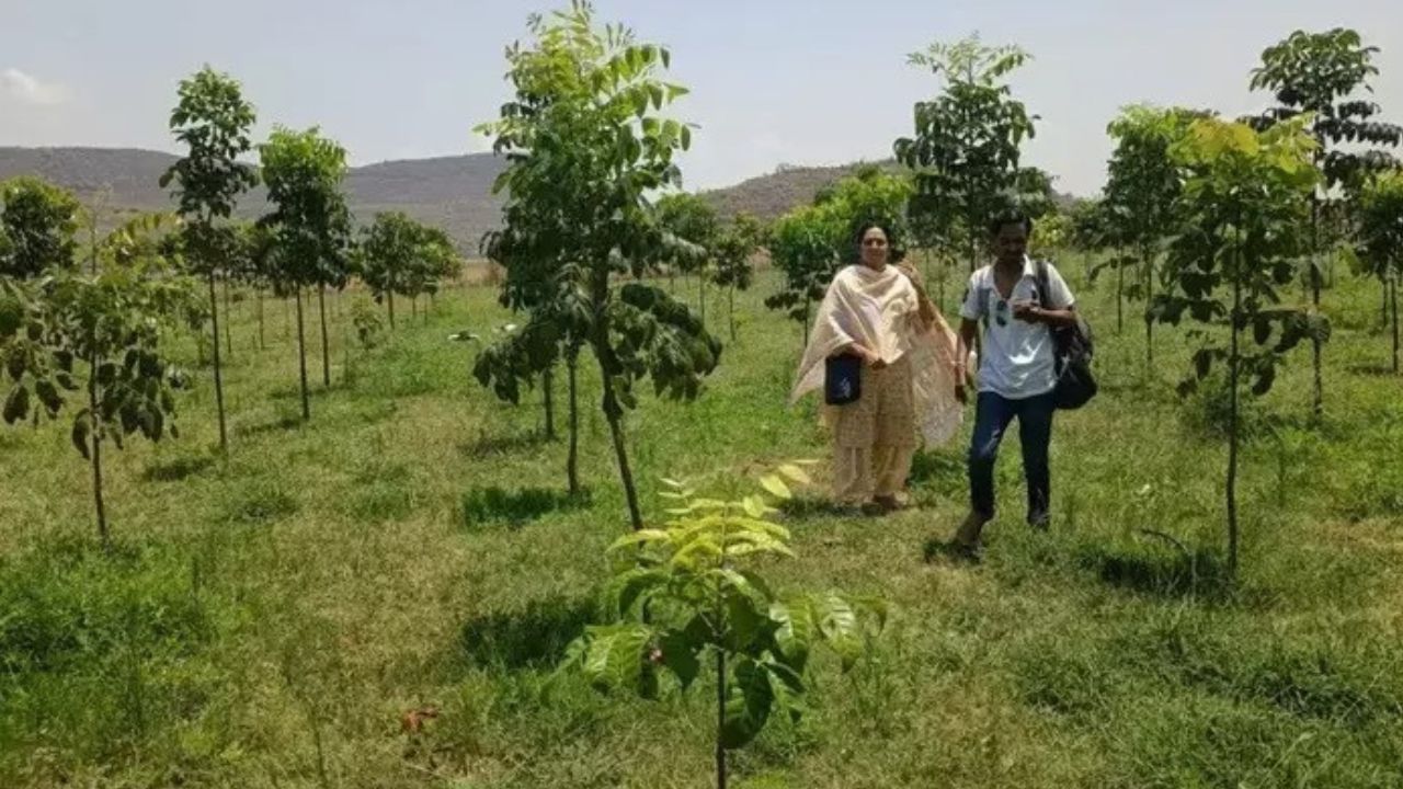 Kisan News: खेती से