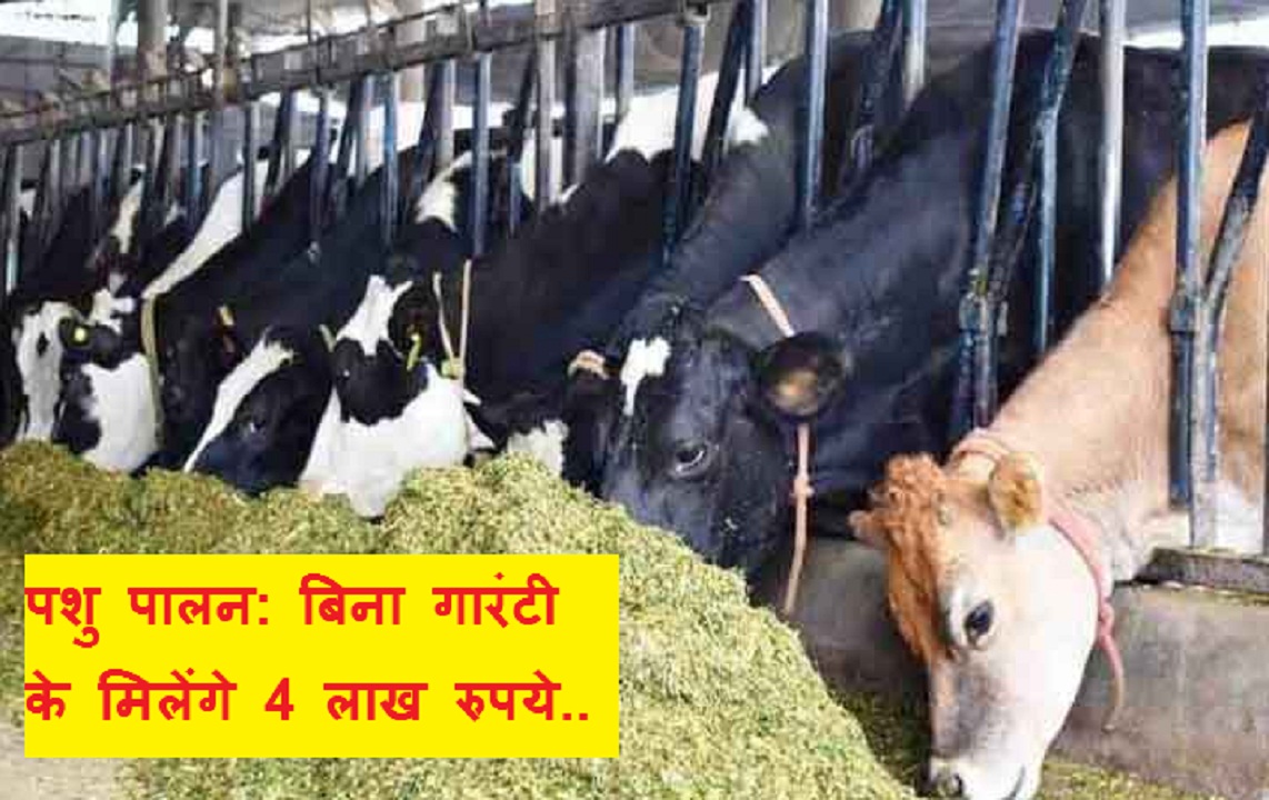 सरकार इस योजना में